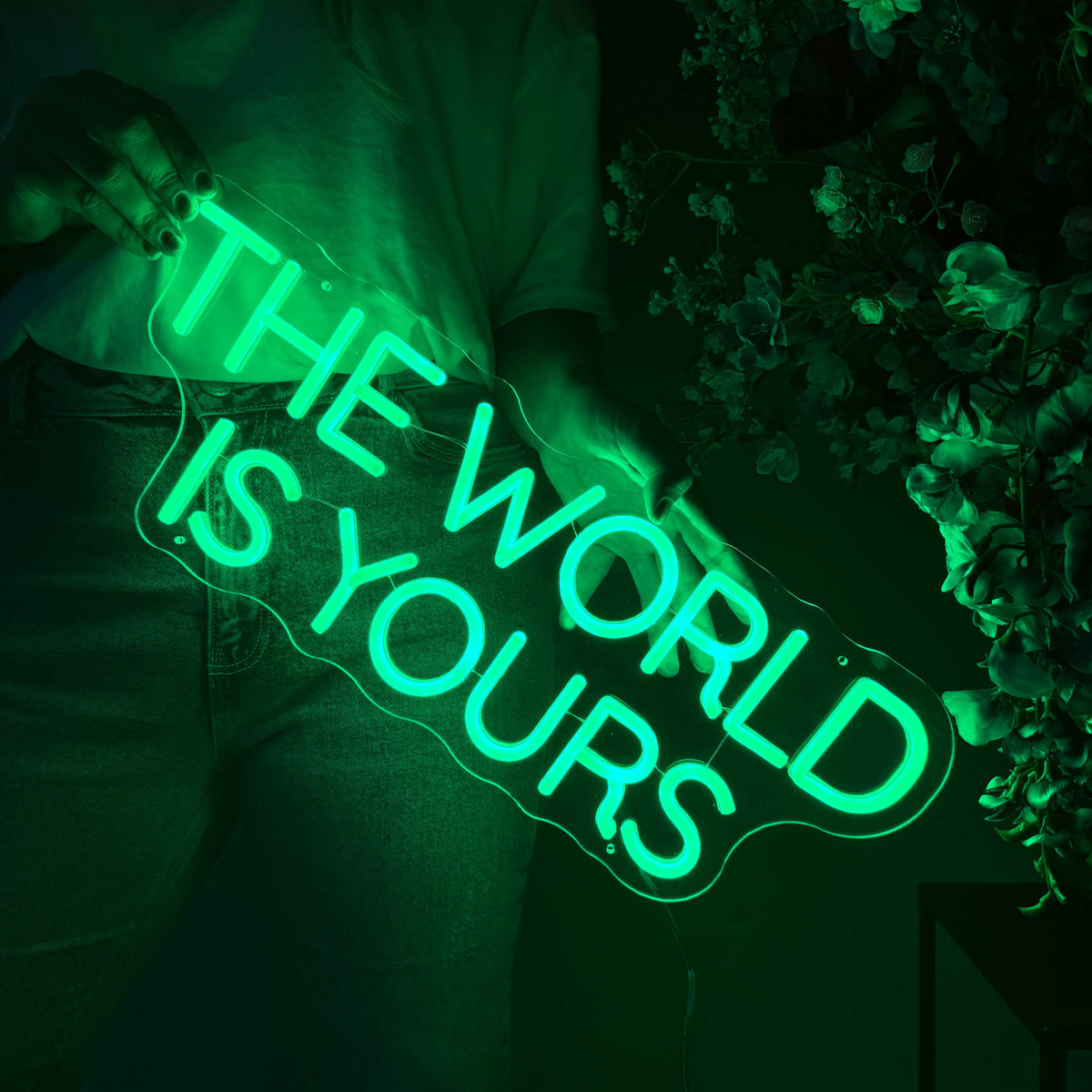 Neon Sign The World Is Yours